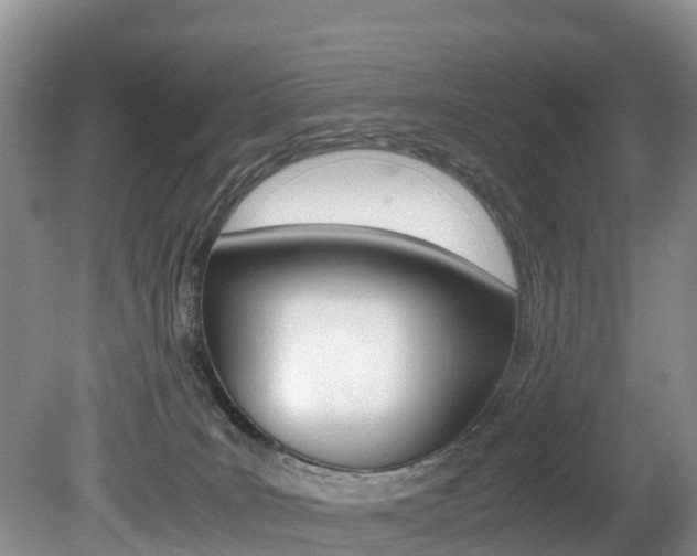 X0000080710035200612150914