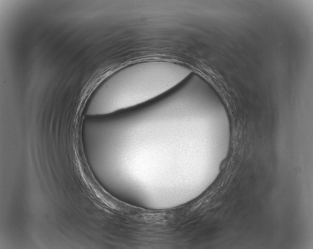X0000080710049200612150913