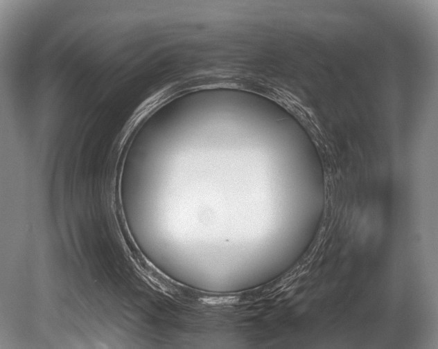 X0000080710051200612150913