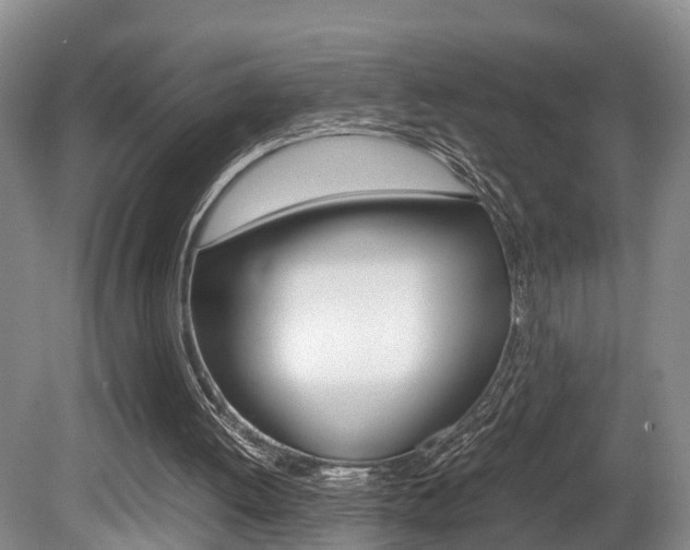 X0000080710052200612150913