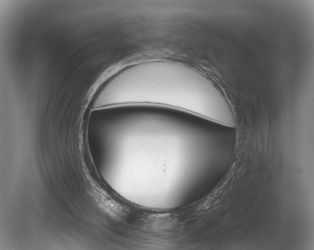 X0000080710054200612150913