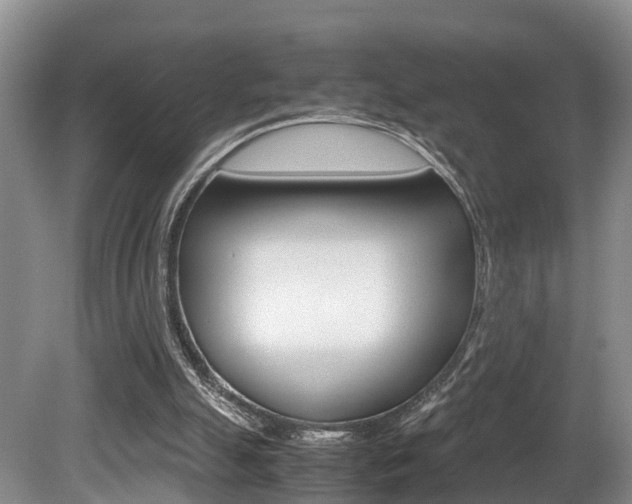 X0000080710055200612150913