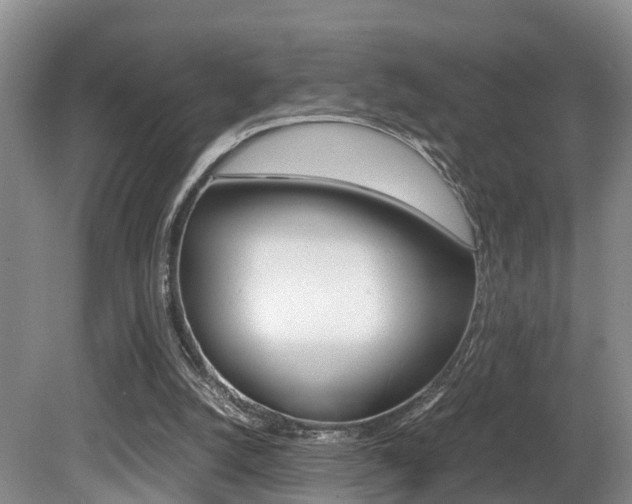 X0000080710056200612150913