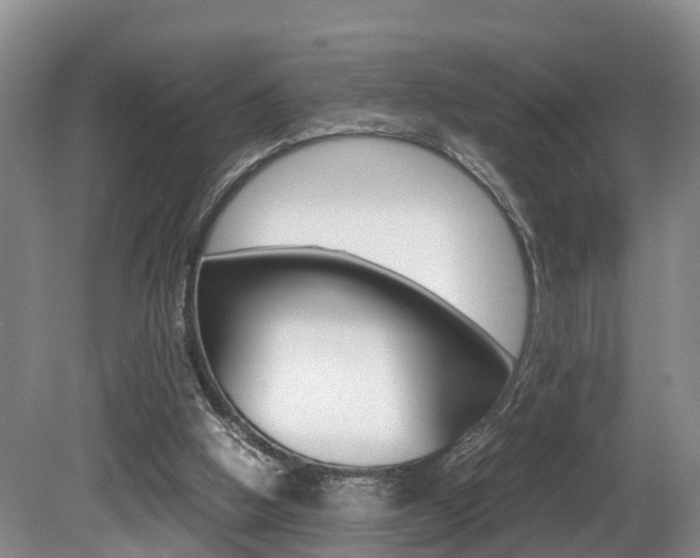 X0000080710058200612150913