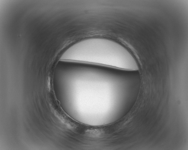 X0000080710067200612150913