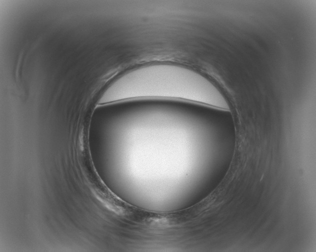 X0000080710068200612150913