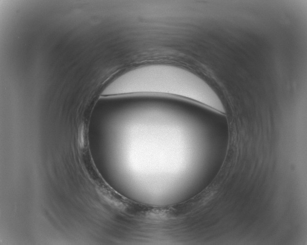 X0000080710076200612150913