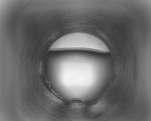 X0000080710077200612150913