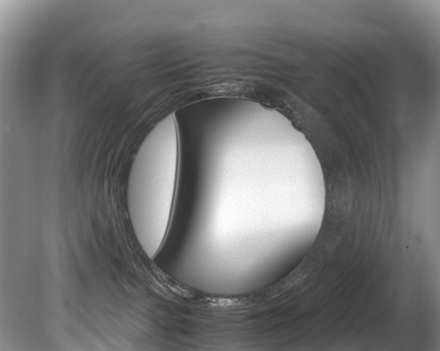 X0000080710091200612150914