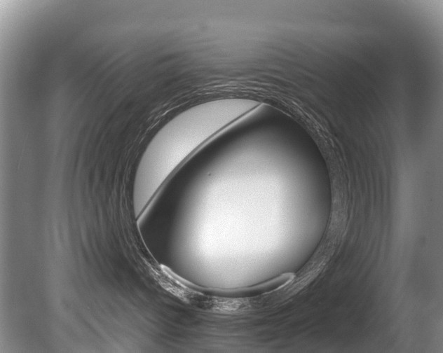 X0000080710096200612150914