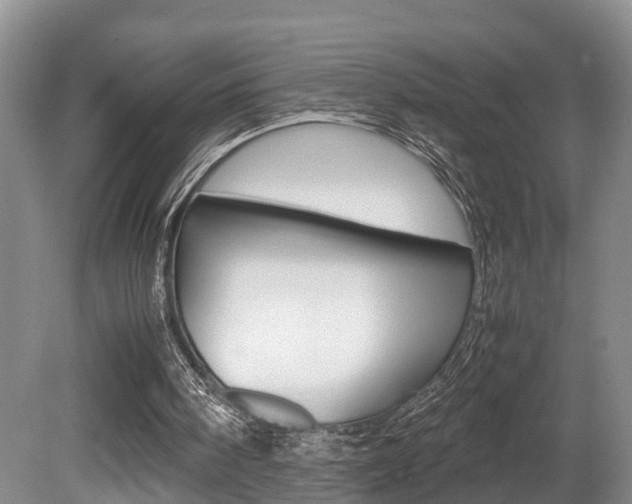 X0000080710098200612150913