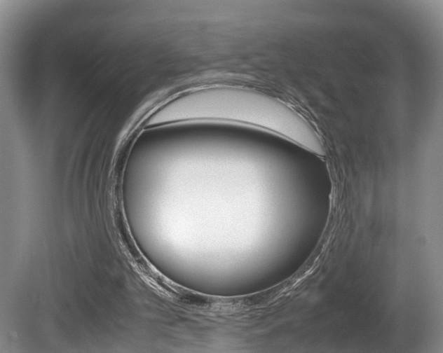 X0000080710101200612150913