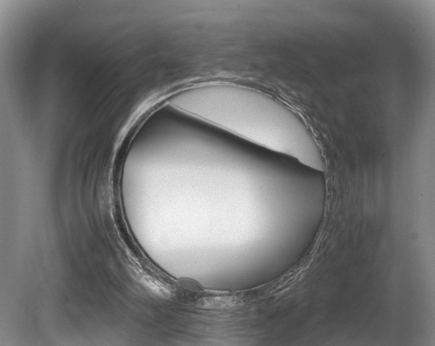 X0000080710102200612150913