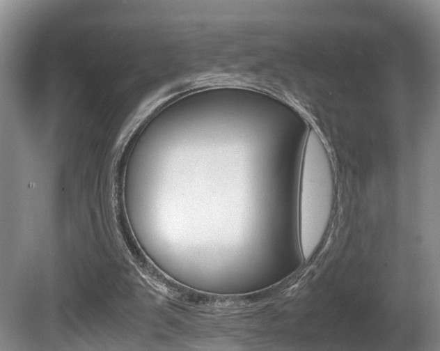 X0000080710103200612150913