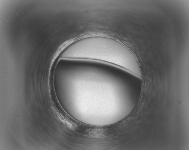 X0000080710104200612150913