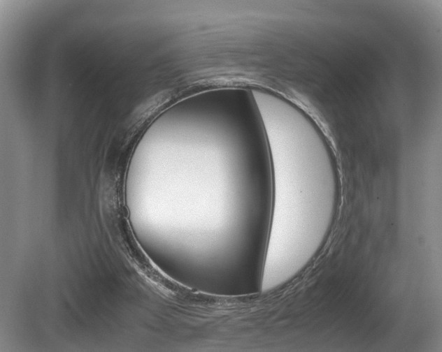 X0000080710105200612150913