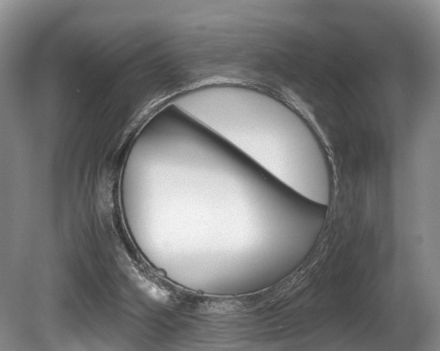 X0000080710106200612150913
