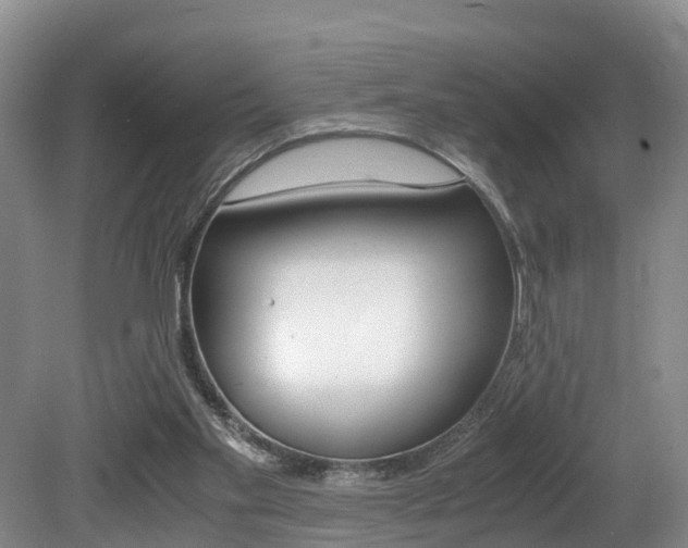 X0000080710109200612150913