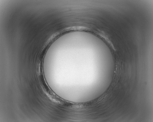 X0000080710110200612150913