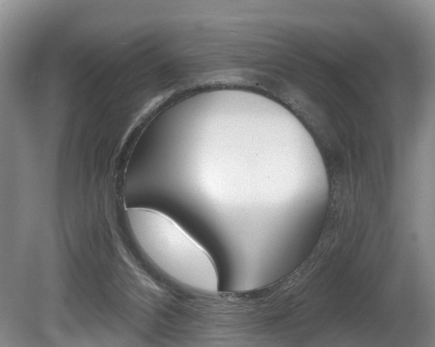 X0000080710112200612150913