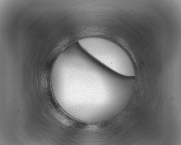 X0000080710114200612150913