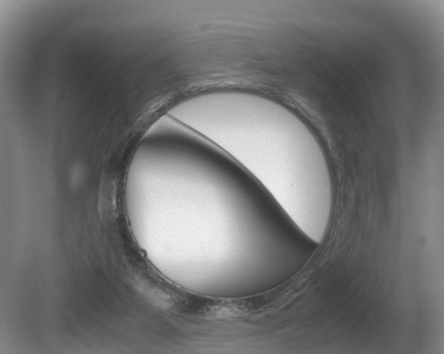 X0000080710115200612150913