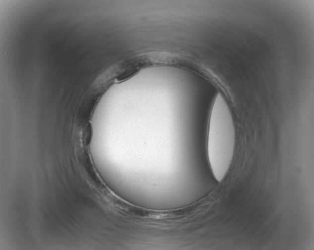 X0000080710117200612150913
