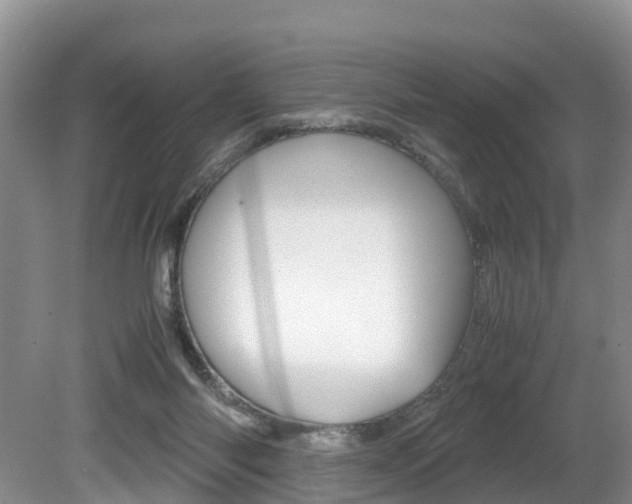 X0000080710118200612150912