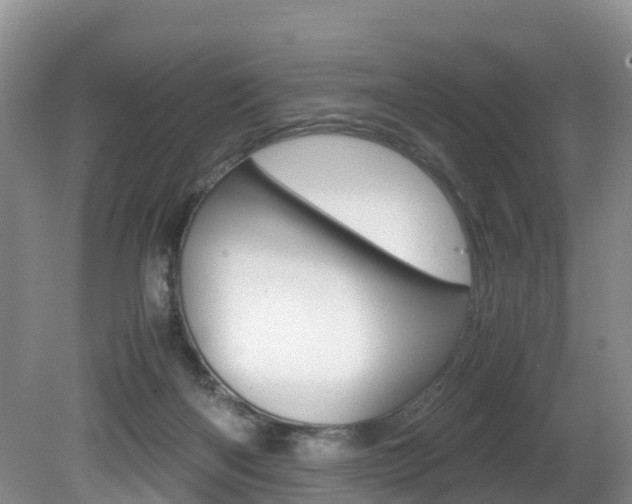 X0000080710122200612150912