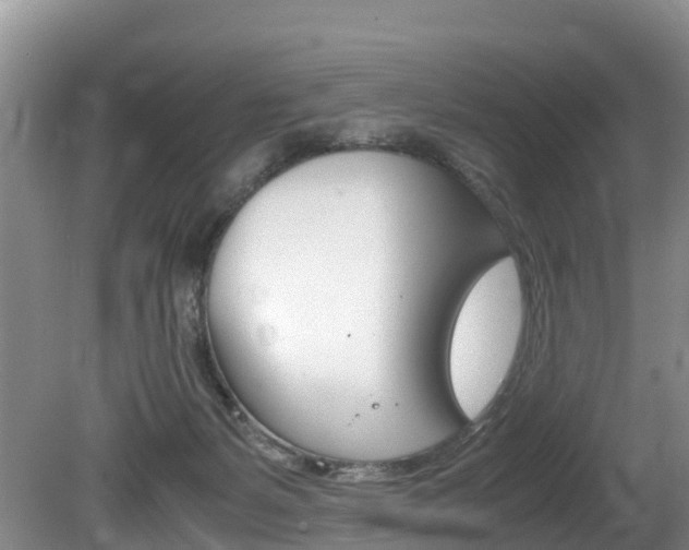 X0000080710127200612150912