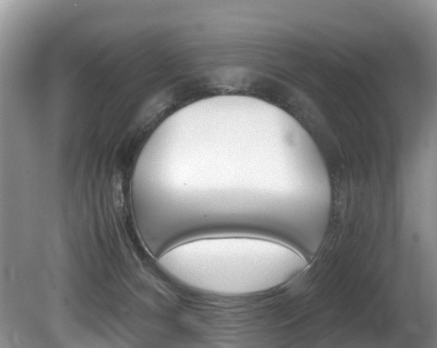 X0000080710128200612150912