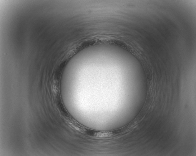 X0000080710135200612150912