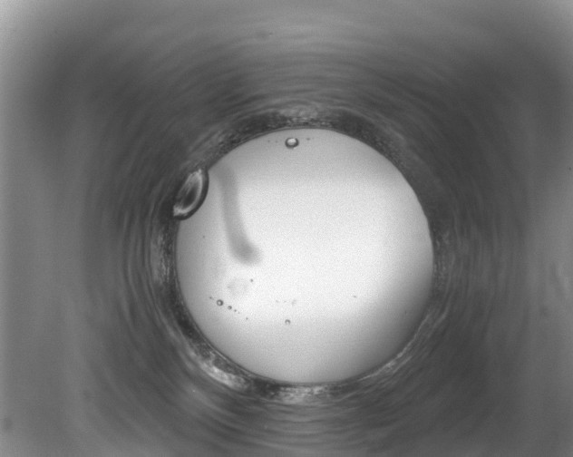 X0000080710136200612150912