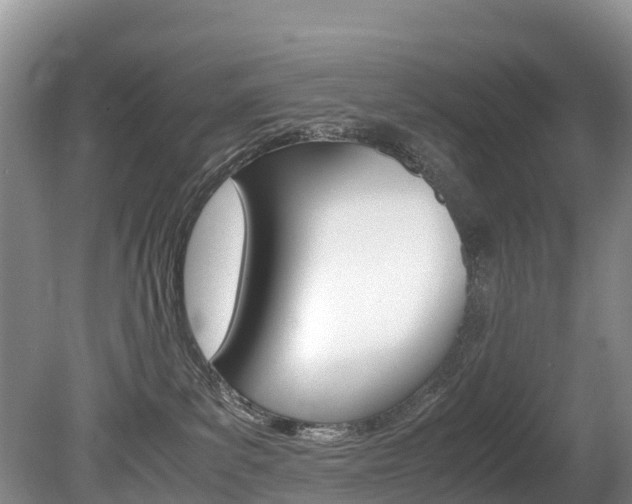 X0000080710139200612150912