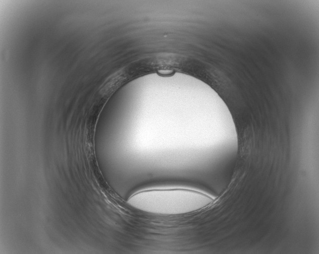 X0000080710140200612150912