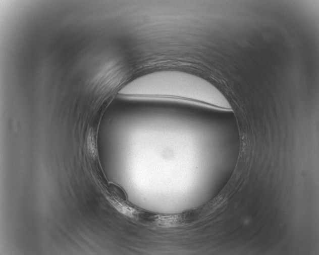 X0000080710143200612150912