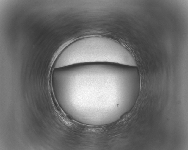 X0000080710147200612150911