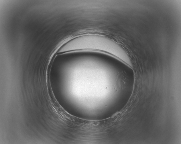 X0000080710148200612150911