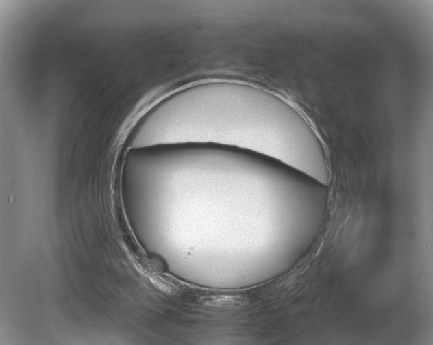 X0000080710151200612150911