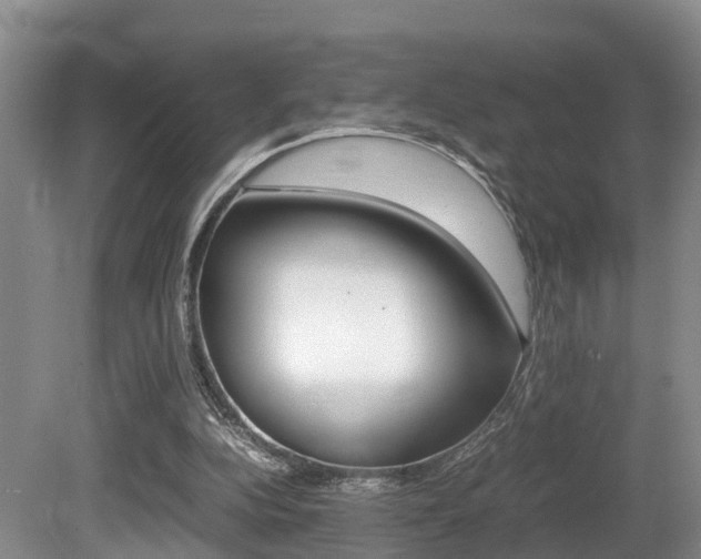 X0000080710152200612150911