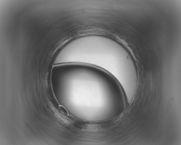 X0000080710154200612150911