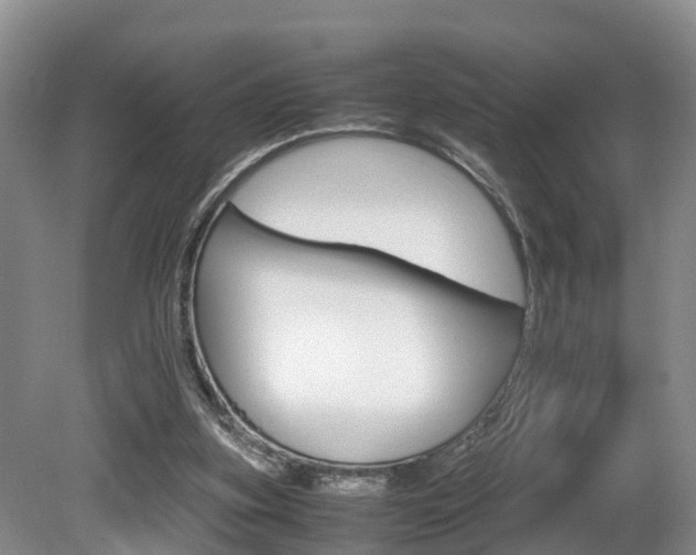 X0000080710155200612150911