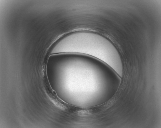 X0000080710160200612150911