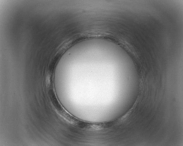 X0000080710166200612150912