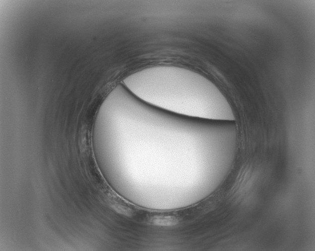 X0000080710169200612150912