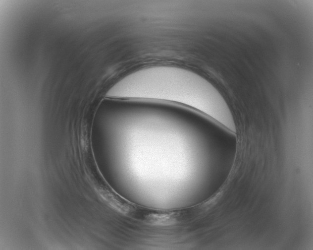 X0000080710170200612150912