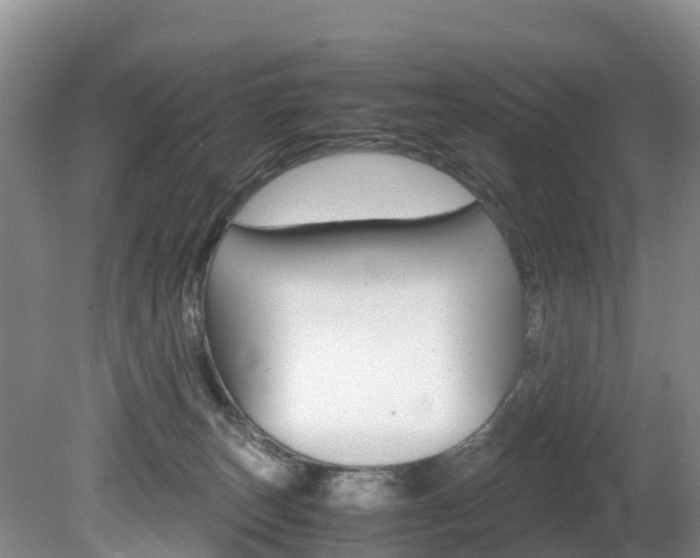 X0000080710179200612150912
