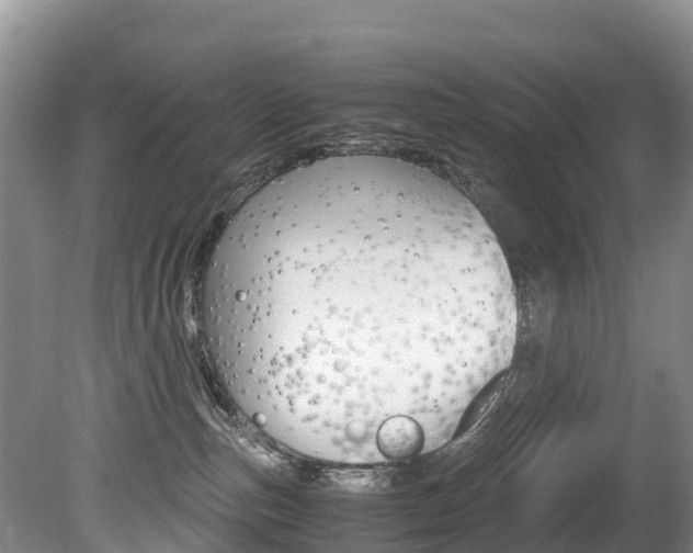 X0000080710187200612150912