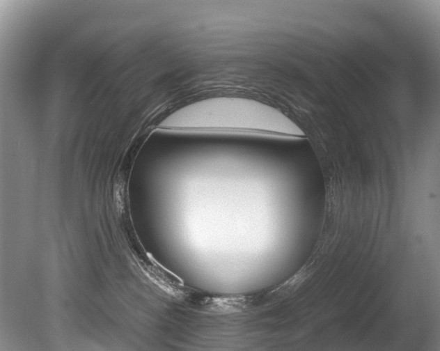 X0000080710188200612150912