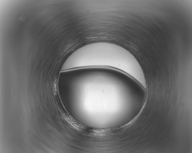 X0000080710190200612150912
